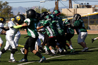 DUCKS vs GREEN MACHINE (PEEWEE)