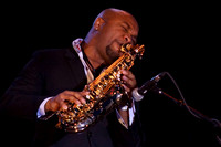 CONCERT PORTFOLIO