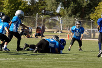 PREDATORS VS GATORS (PEE WEE)