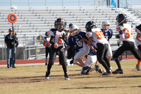RHINOS VS FURY