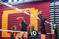 DOUGLAS VS VIRGIN VALLEY