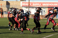 PREDATORS VS KNIGHT (PIGSKIN)