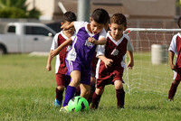REBELS VS PURPLE FURY