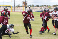 BEARCATS VS SPARTANS (8-MAN)