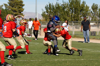 GATORS VS 49ERS (BANTAM)