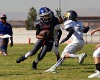 GATORS VS DUCKS (BANTAM)