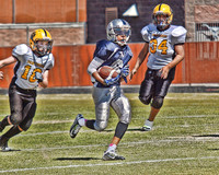 LV COWBOYS vs PANTHERS (MINOR)