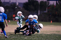 GREEN MACHINE VS MUSTANGS (pee wee)