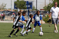 NYS SPRING SPORTS
