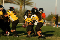 YELLOWJACKETS VS GILA MONSTERS (PEE WEE)
