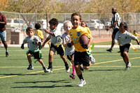 TRAIL BLAZERS VS GRAY TEAM (FLAG)